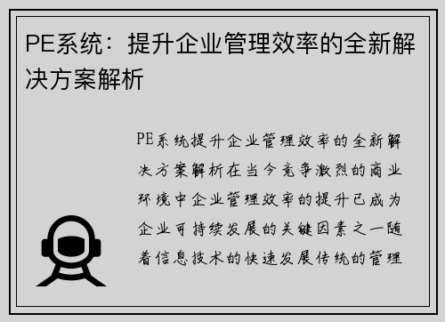 PE系统：提升企业管理效率的全新解决方案解析